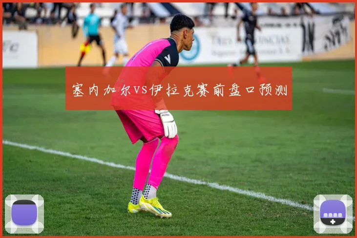 塞内加尔vs伊拉克赛前盘口预测