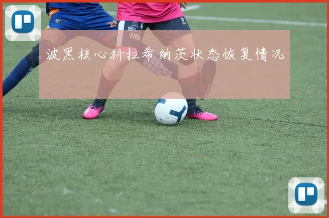 波黑核心科拉希纳茨状态恢复情况