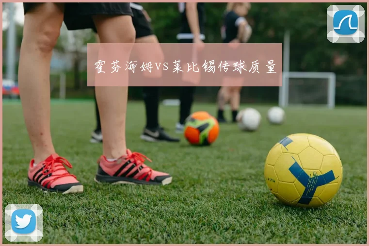 霍芬海姆vs莱比锡传球质量