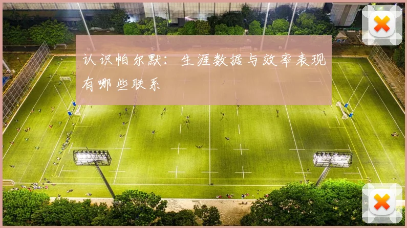 认识帕尔默:生涯数据与效率表现有哪些联系